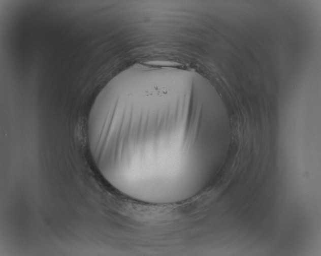 X0000073850044200609071618