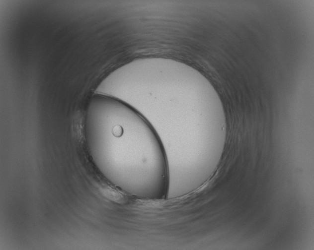 X0000073850045200609071618