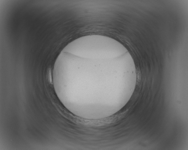 X0000073850046200609071618