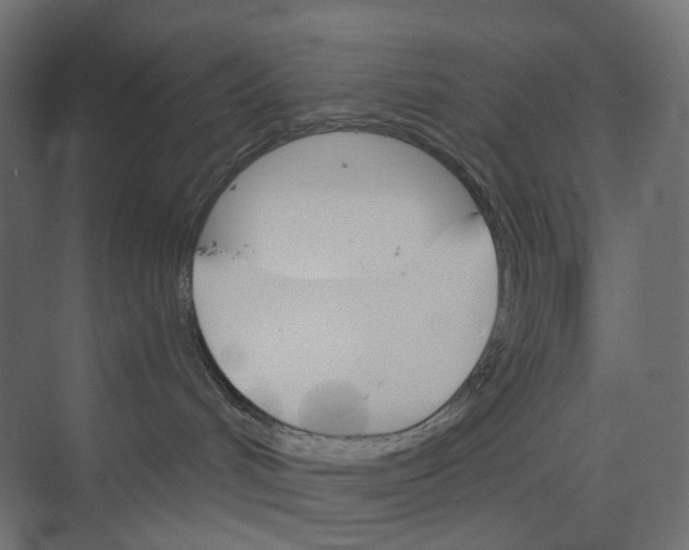 X0000073850048200609071618