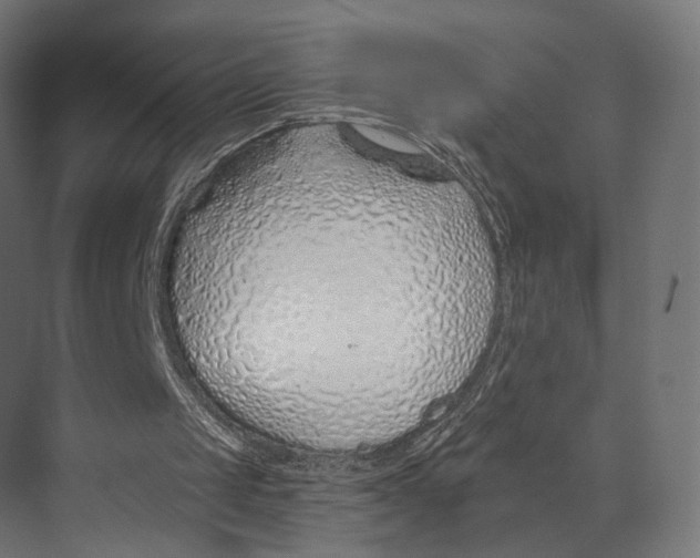 X0000073850049200609071617