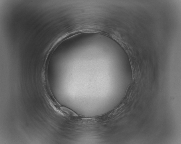 X0000073850050200609071617