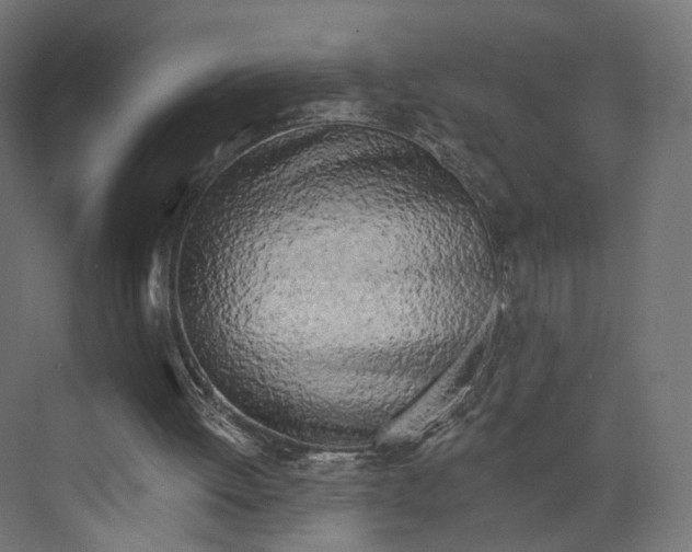 X0000073850052200609071618