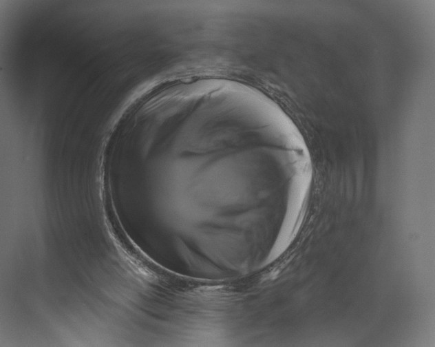 X0000073850054200609071618