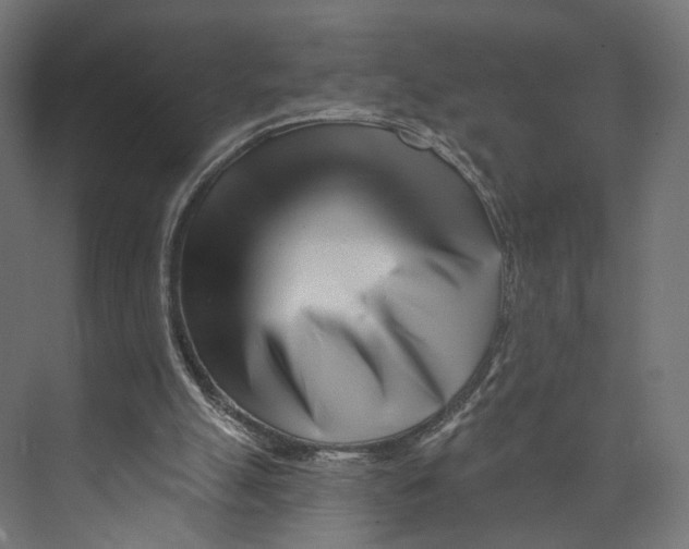 X0000073850055200609071618