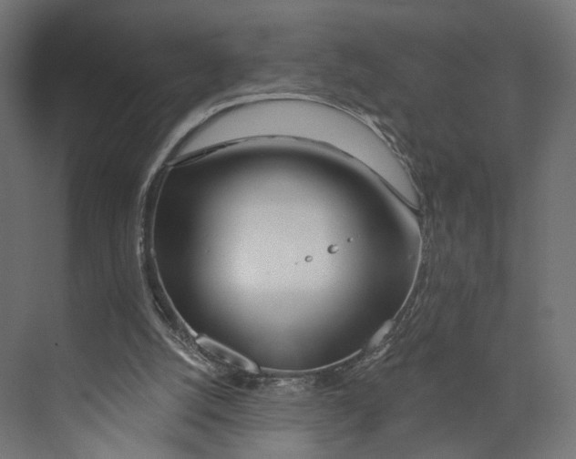 X0000073850056200609071618