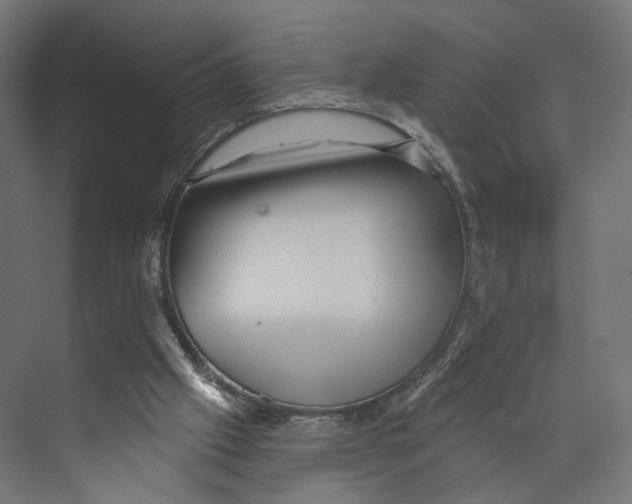 X0000073850057200609071618