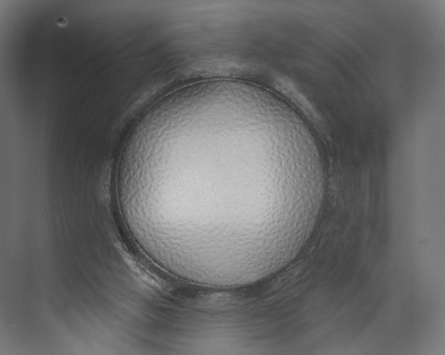 X0000073850058200609071618