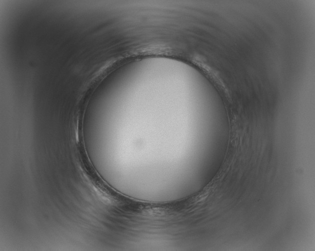 X0000073850062200609071618