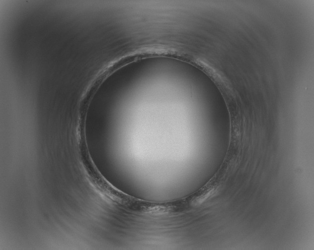 X0000073850064200609071618