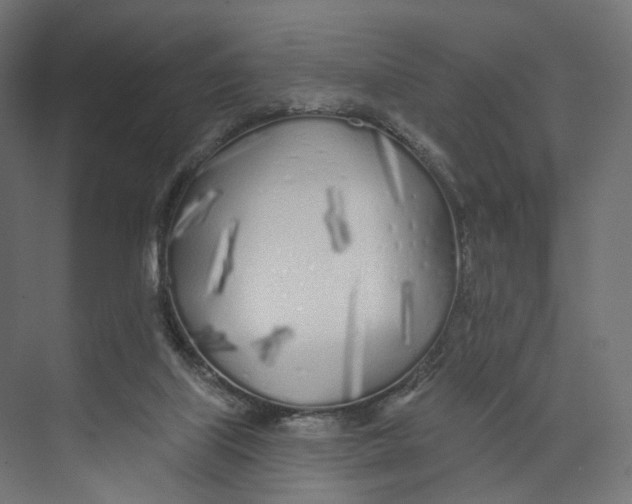 X0000073850067200609071618