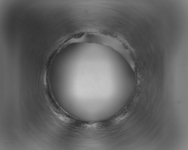 X0000073850068200609071618