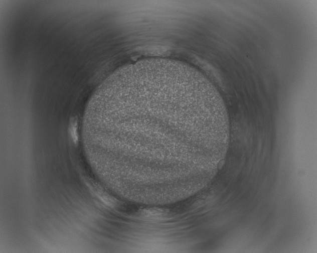 X0000073850069200609071618