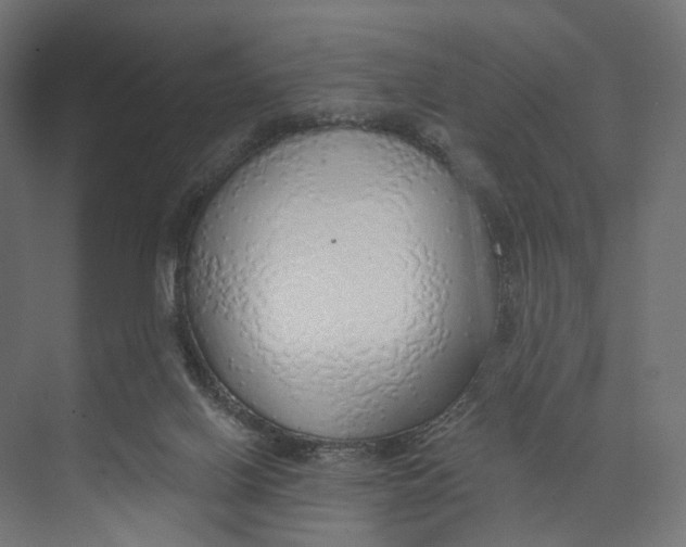 X0000073850070200609071618