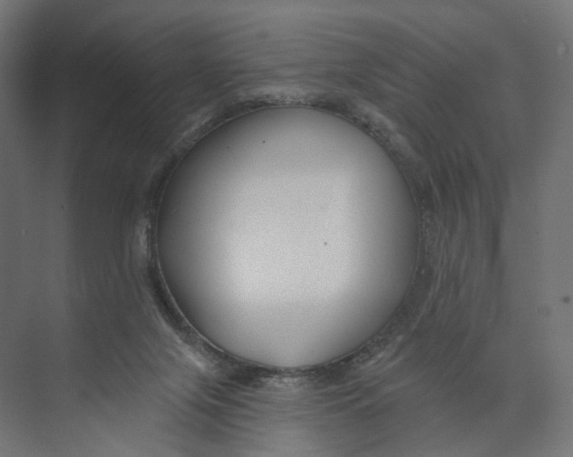 X0000073850071200609071618