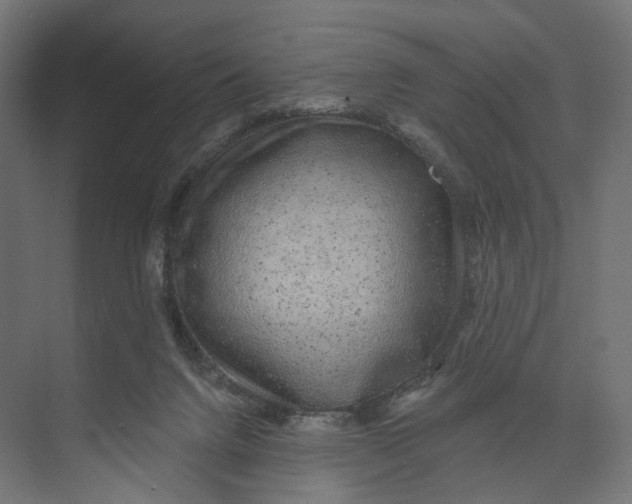 X0000073850072200609071618