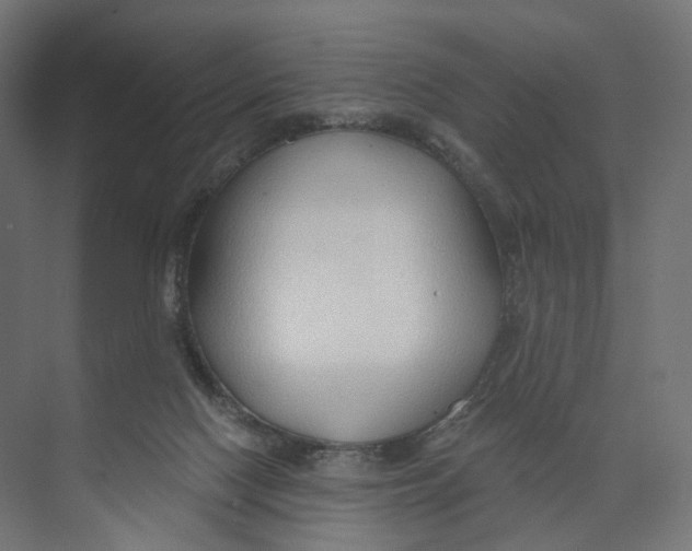 X0000073850074200609071618