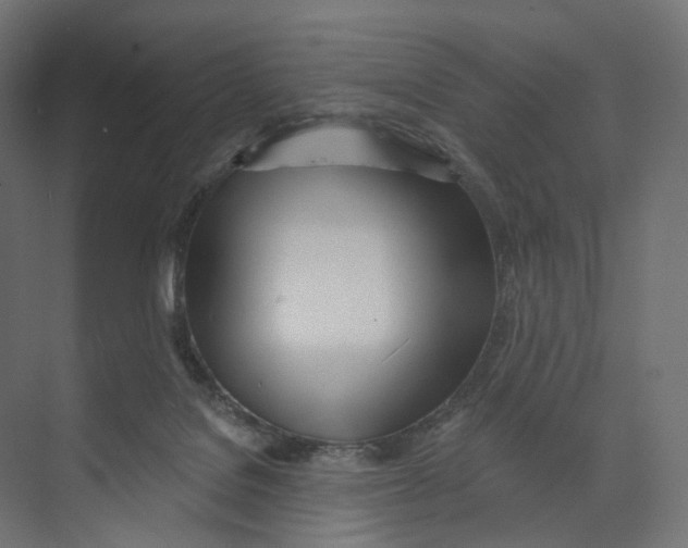 X0000073850076200609071618