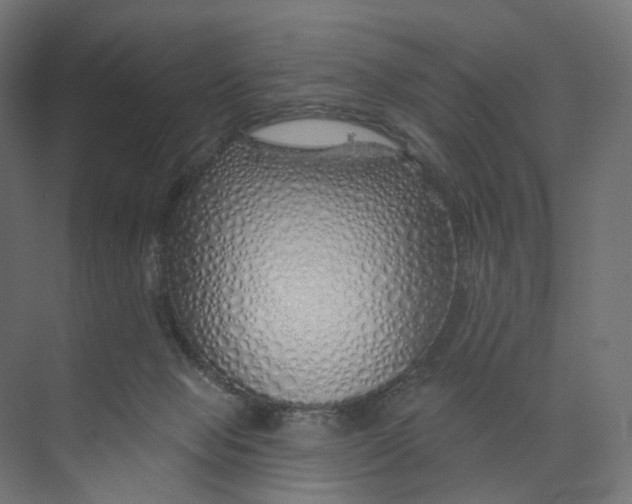 X0000073850077200609071618