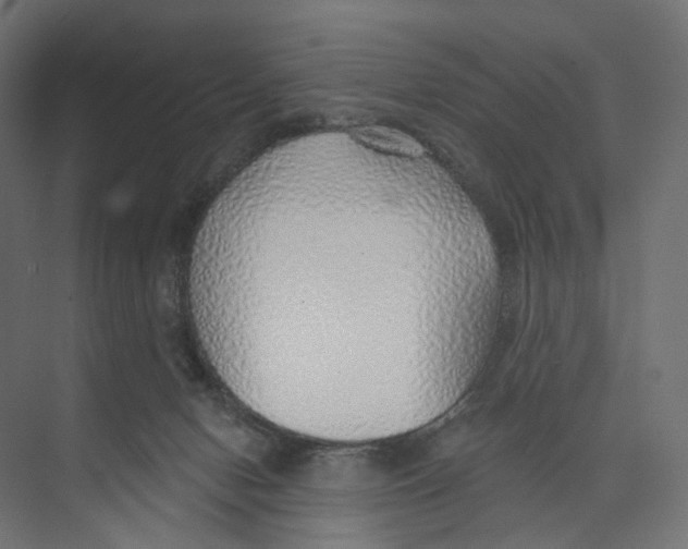 X0000073850078200609071618