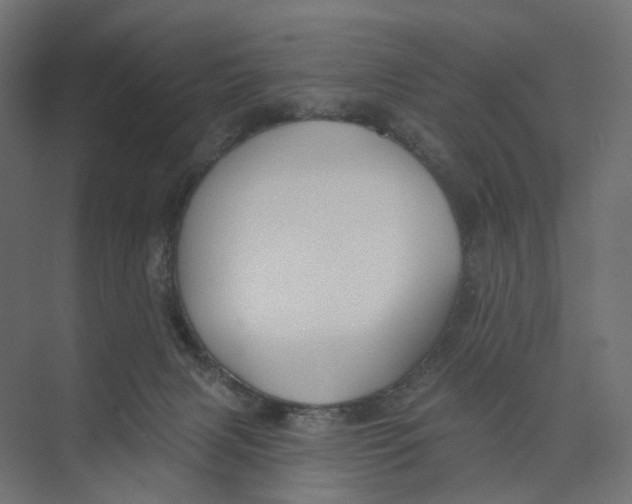 X0000073850079200609071618