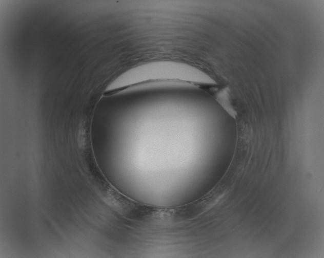 X0000073850080200609071618