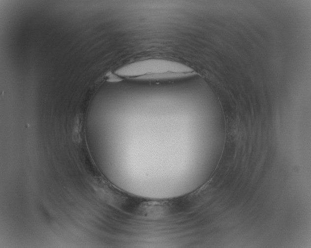 X0000073850082200609071618