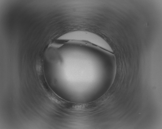 X0000073850084200609071618