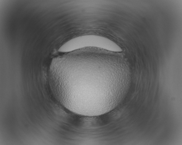 X0000073850085200609071618