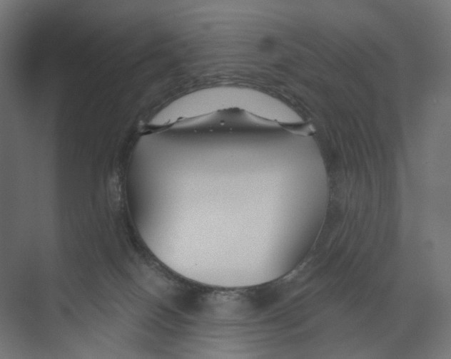 X0000073850086200609071618