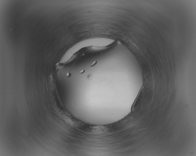 X0000073850087200609071618