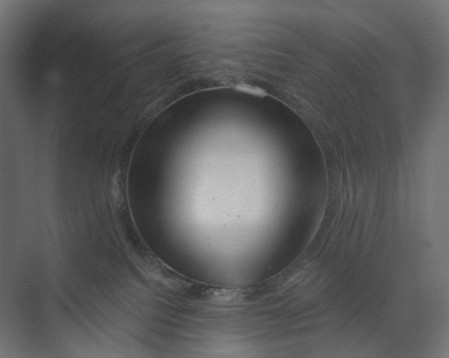 X0000073850088200609071618