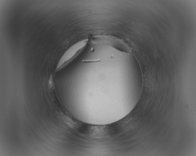 X0000073850089200609071618