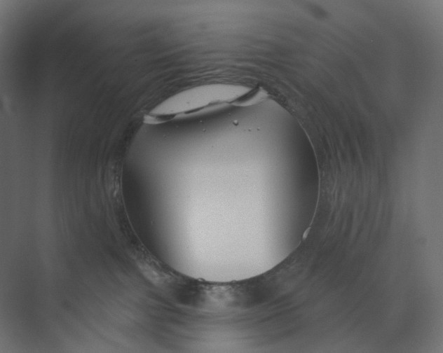 X0000073850091200609071618