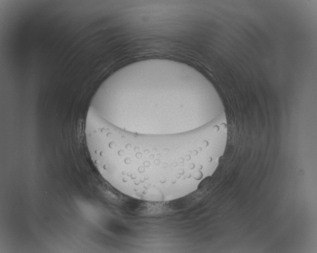 X0000073850093200609071618