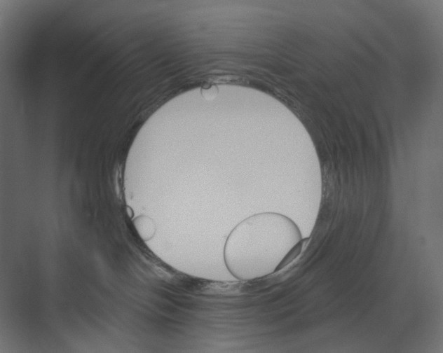 X0000073850094200609071618