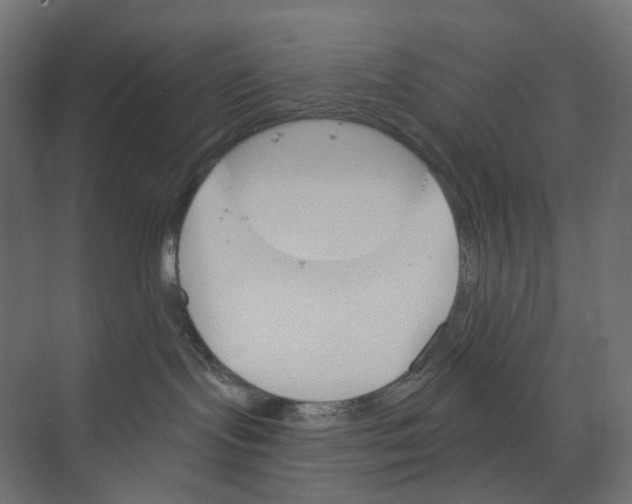 X0000073850095200609071618