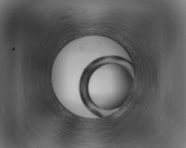 X0000073850096200609071618