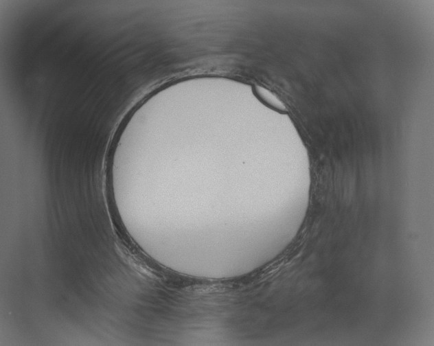 X0000073850100200609071617