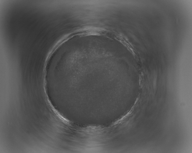 X0000073850101200609071617