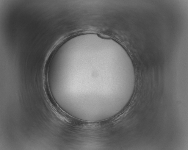 X0000073850102200609071617