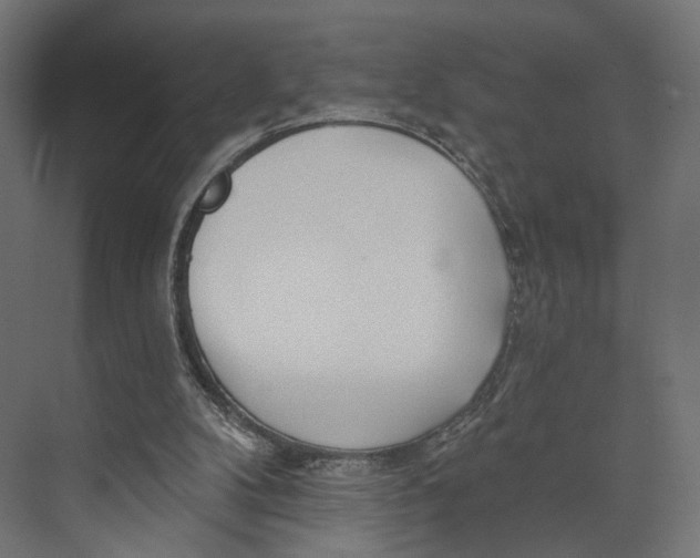 X0000073850104200609071617