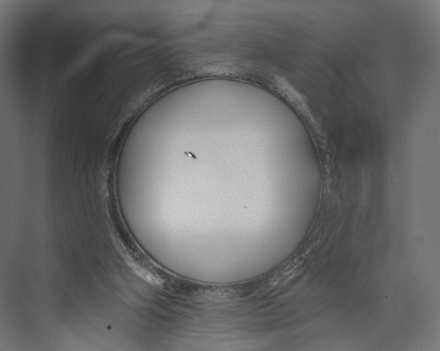 X0000073850106200609071617