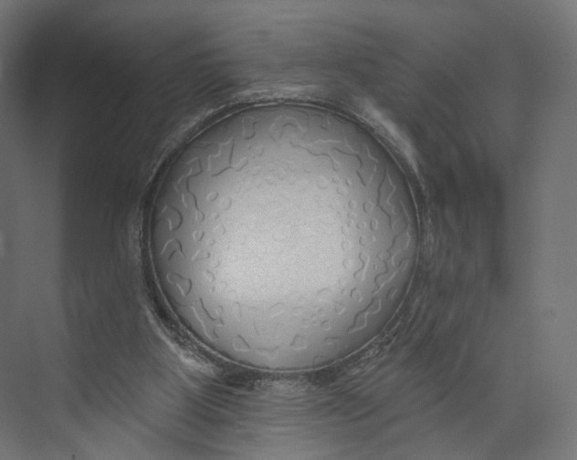 X0000073850107200609071617