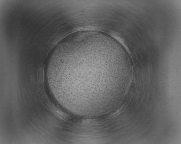 X0000073850109200609071617