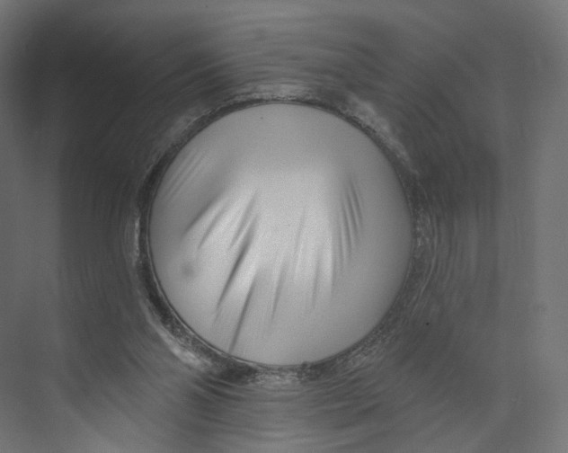 X0000073850110200609071617