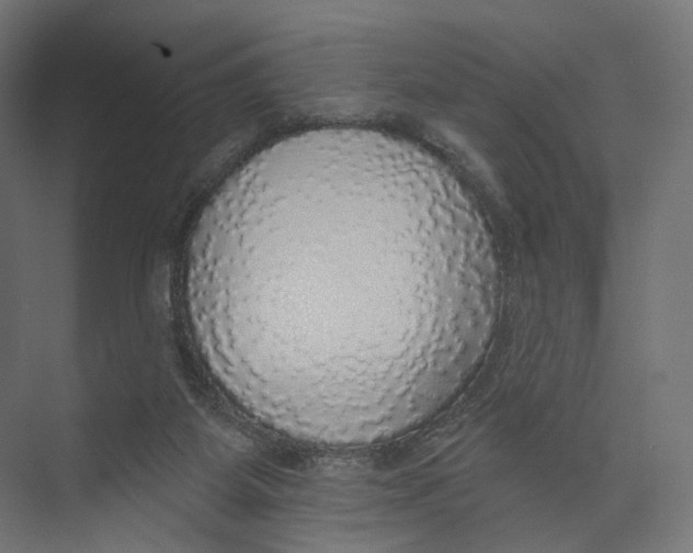 X0000073850115200609071617