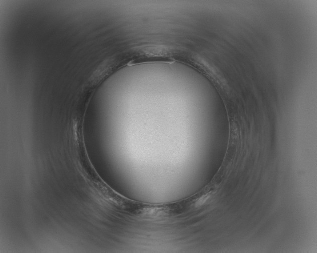 X0000073850117200609071617