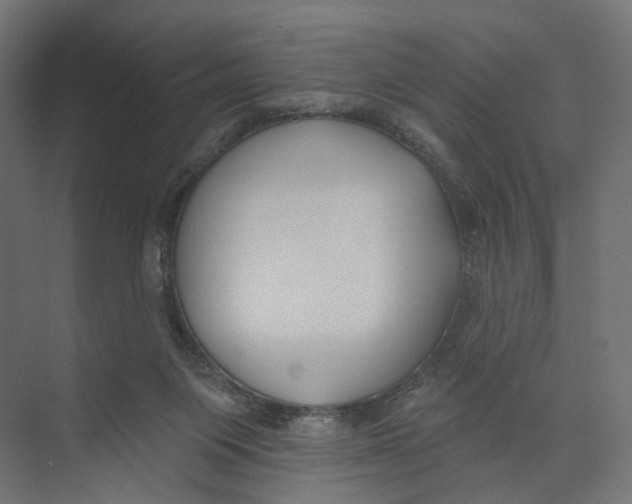 X0000073850119200609071617