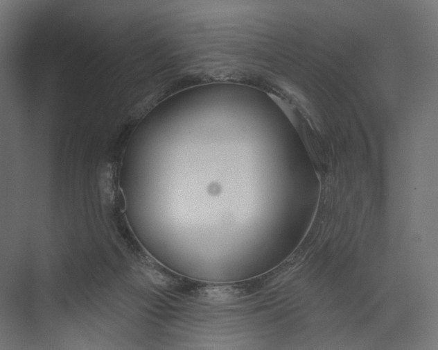 X0000073850121200609071617